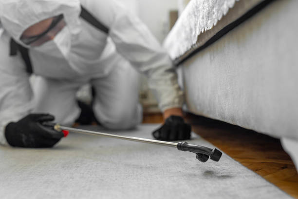 Professional Pest Control technician working in Jamestown West, NY