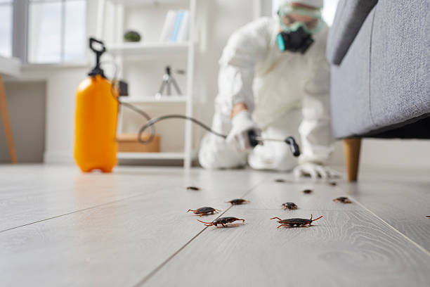 Trusted Cockroach Control service in Jamestown West, NY - Nex Pest Control