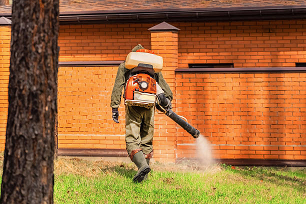 Trusted Termite Control service in Jamestown West, NY - Nex Pest Control
